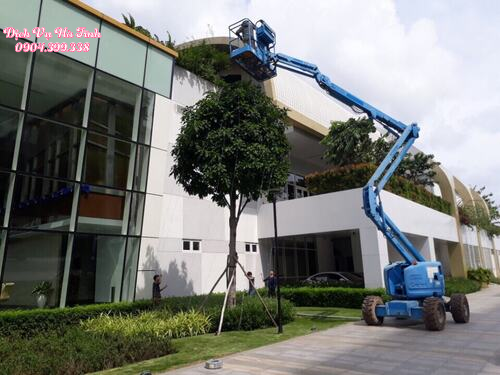 Công ty mua bán và cho thuê xe nâng người tại Quảng Bình
